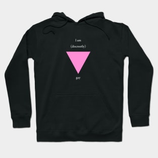 I am (discreetly) gay Hoodie